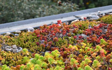 the cost of Greenhow green roof installation