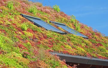 Greenhow living roof systems